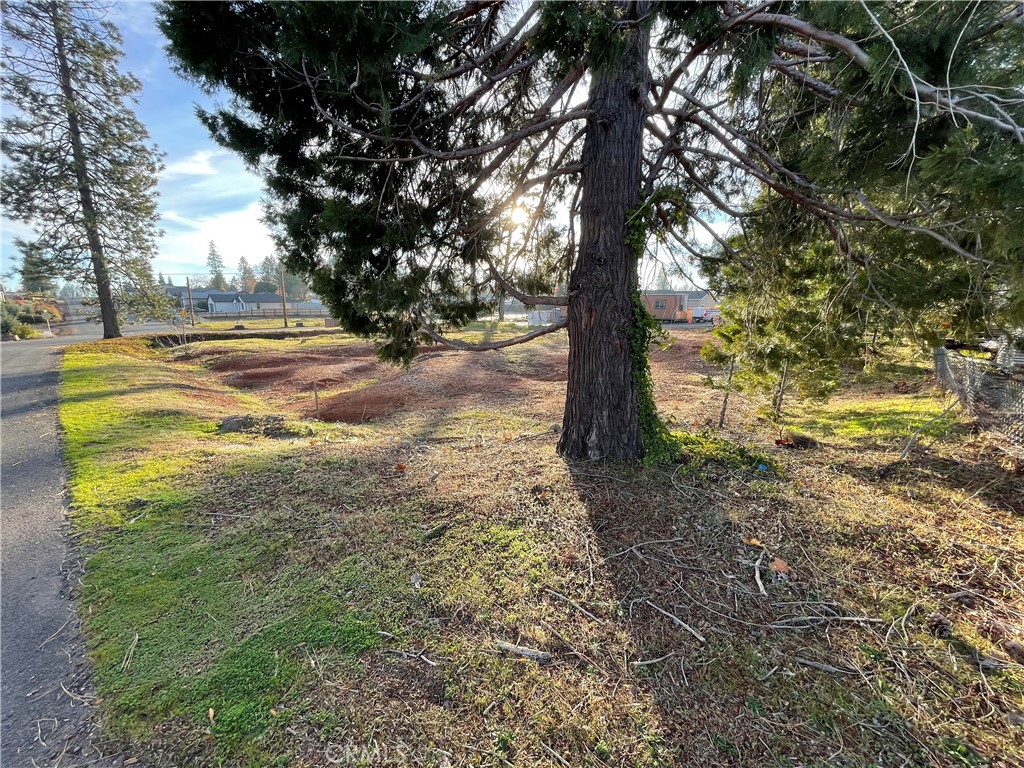 1573 Bille Road Paradise, CA 95969 - Photo 13 of 28 a view of yard with trees