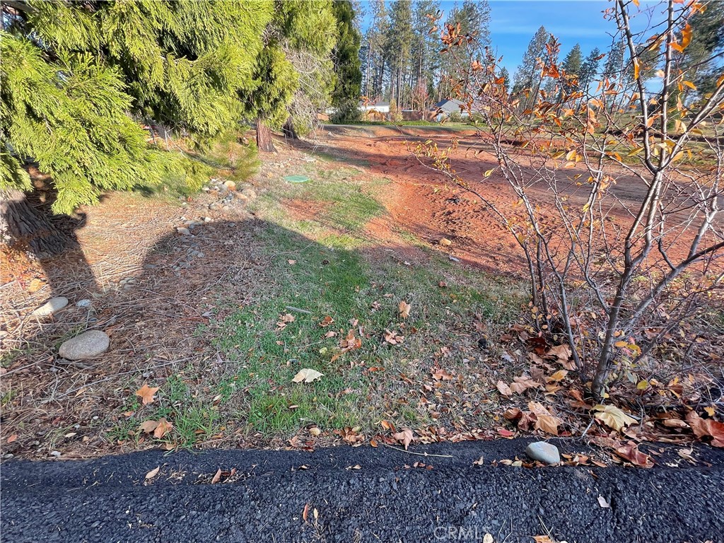 1573 Bille Road Paradise, CA 95969 - Photo 24 of 28 a view of a yard with plants and trees