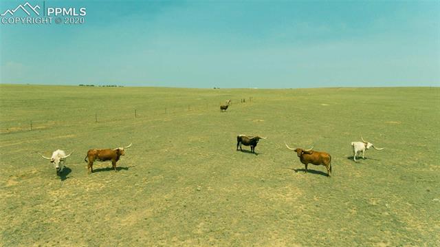 Tbd South Edison Road Yoder, CO 80864 - Photo 6 of 7