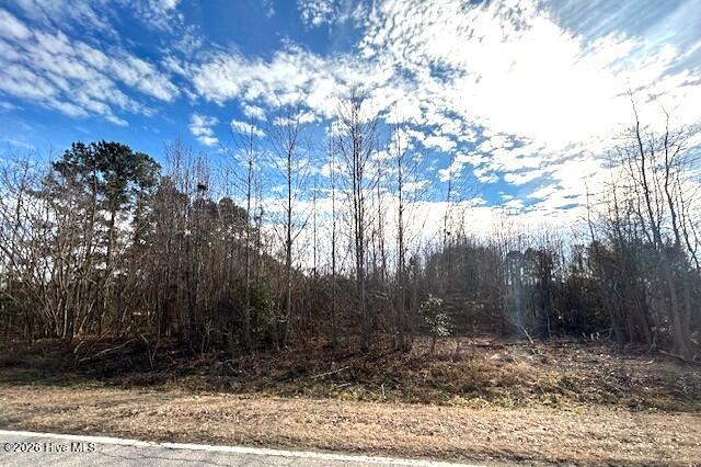 2 Boswell Road Kenly, NC 27542 - Photo 3 of 5 IMG_6455