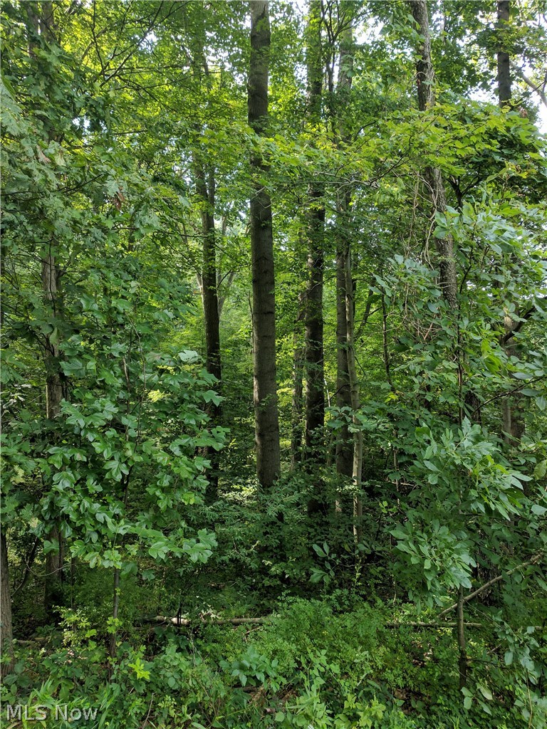 6806 Buehler Hill Road Port Washington, OH 43837 - Photo 17 of 19