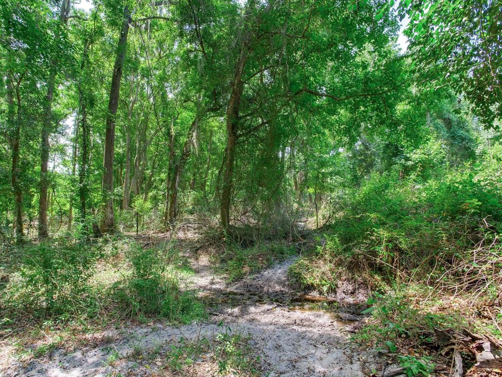 Spring Lake Highway Brooksville, FL 34602 - Photo 23 of 49 a view of outdoor space and trees all around