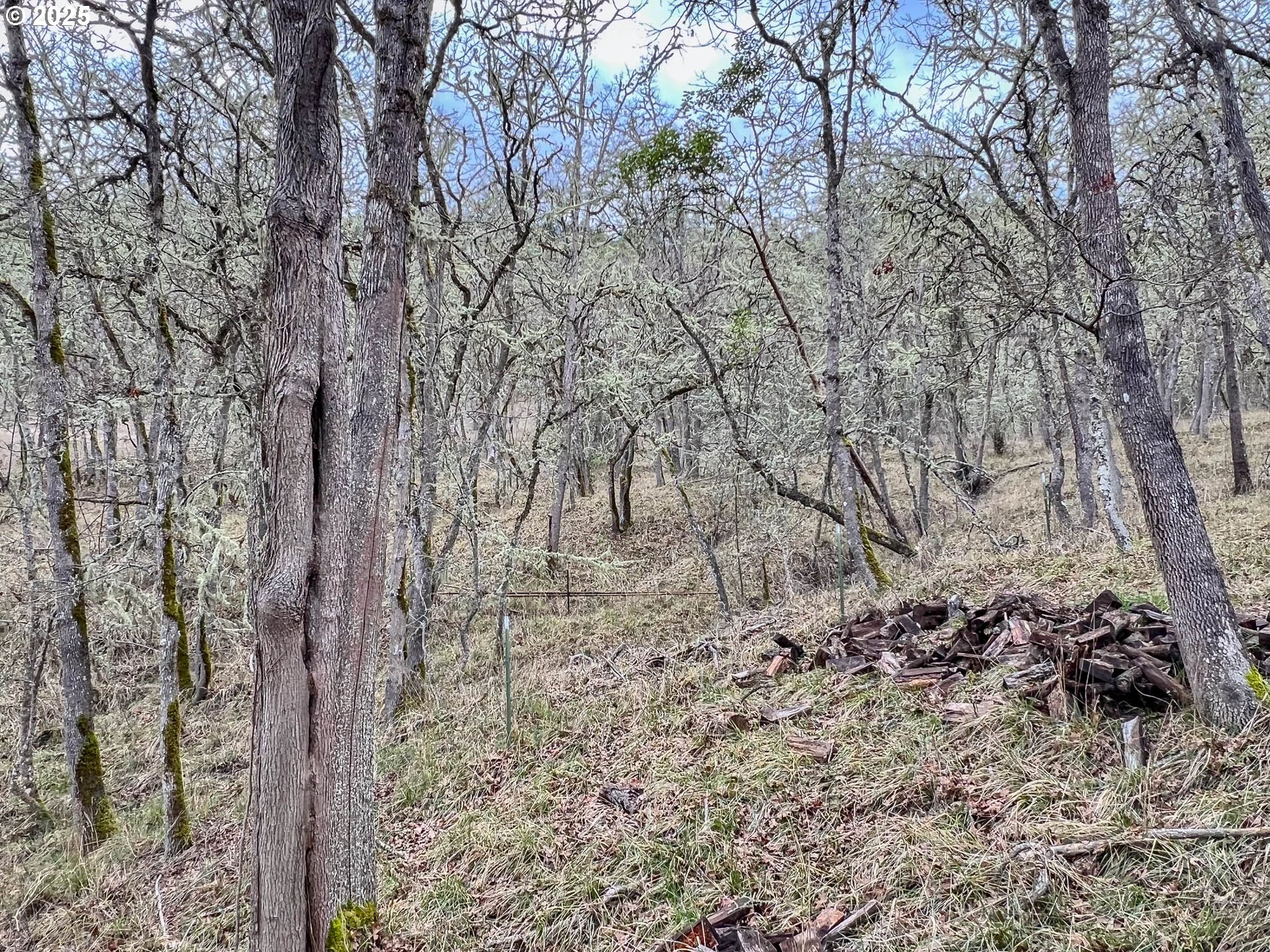 1810 Rifle Range Street Roseburg, OR 97470 - Photo 33 of 37