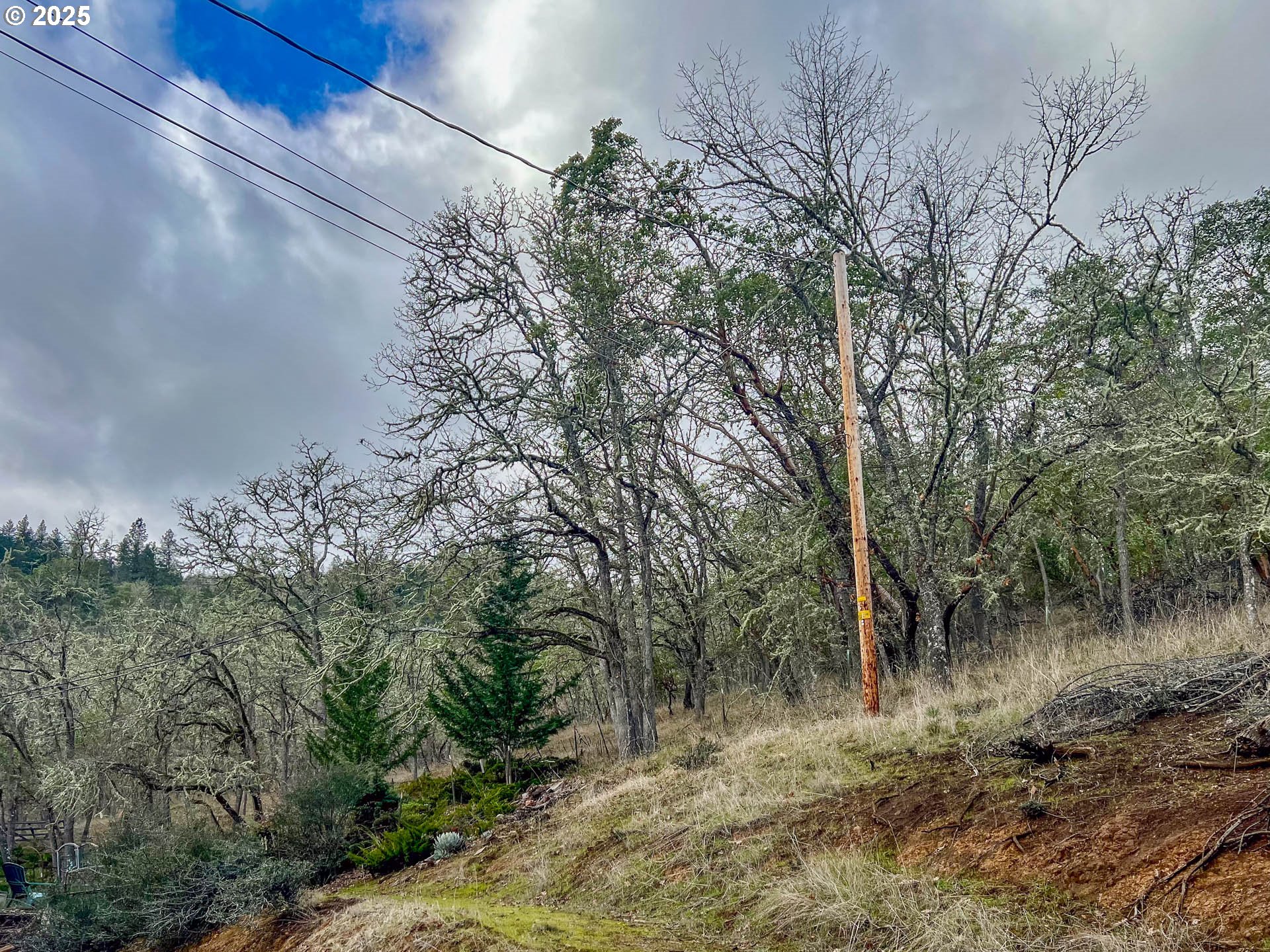 1810 Rifle Range Street Roseburg, OR 97470 - Photo 34 of 37