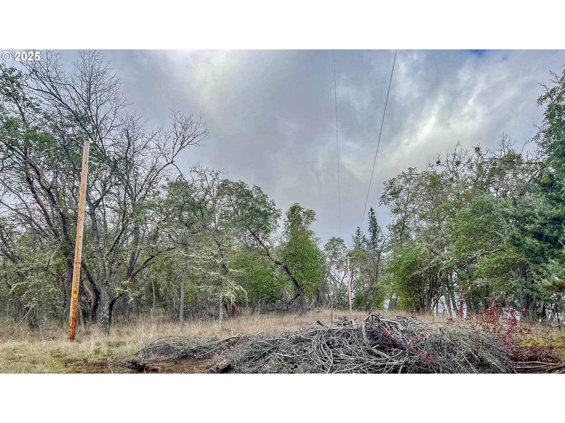 1810 Rifle Range Street Roseburg, OR 97470 - Photo 35 of 37