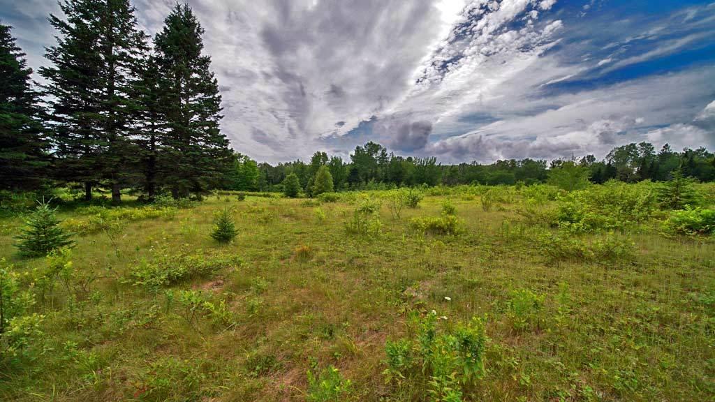 60 Smyrna Center Road Smyrna, ME 04780 - Photo 6 of 52 land-60-smyrna-center-rd