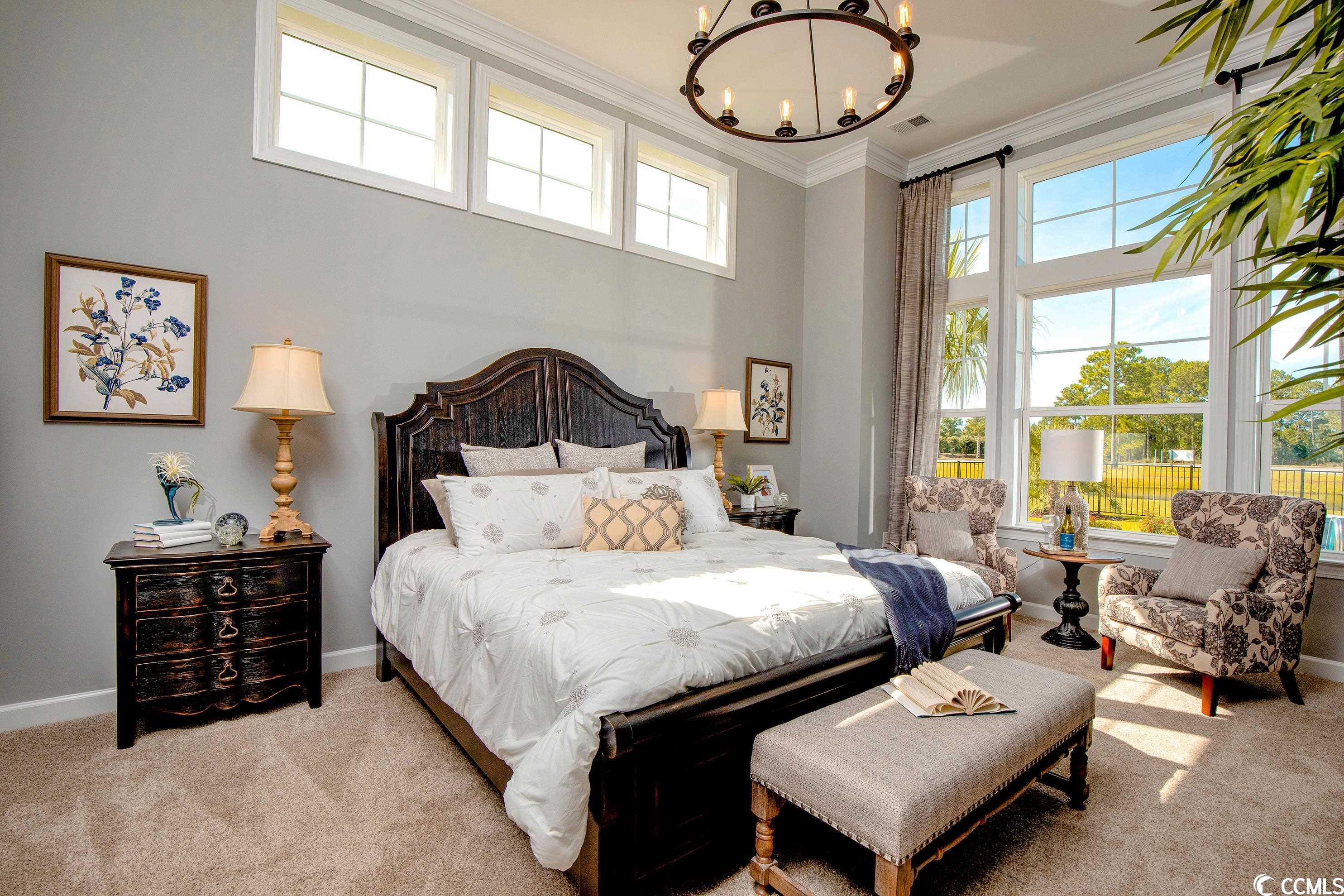 239 Starlit Way Myrtle Beach, SC 29579 - Photo 6 of 19