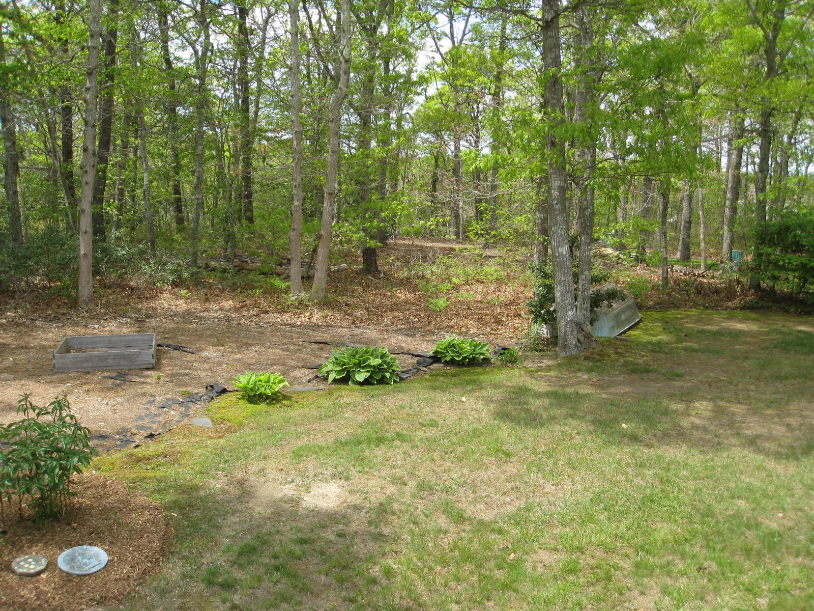 149 Camelback Road Marstons Mills, MA 02648 - Photo 23 of 25 a backyard of a house with lots of green space and trees