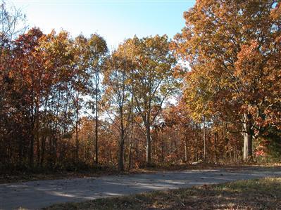 0 Ridgedale Road Highlandville, MO 65669 - Photo 1 of 1 Primary Photo