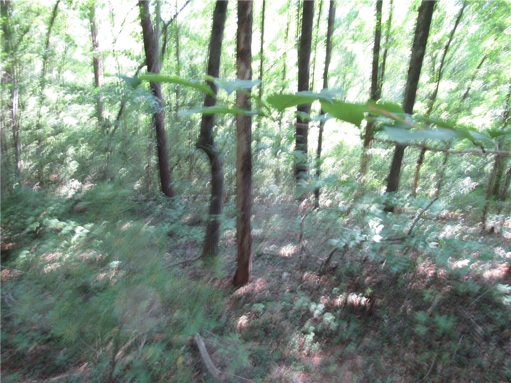 0 Gauley Falls Road Pickens, SC 29671 - Photo 3 of 35