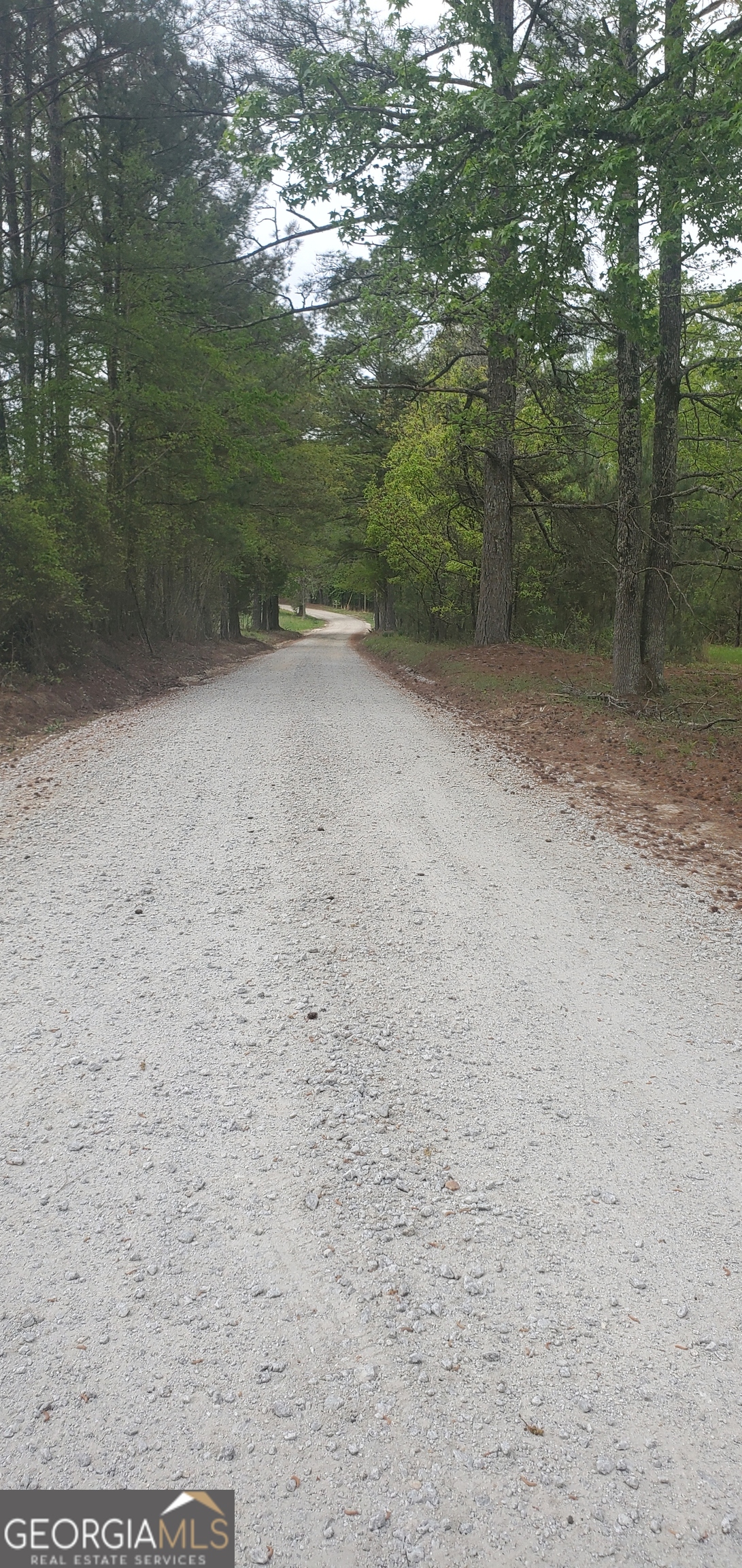 384 Enon Grove Road Franklin, GA 30217 - Photo 115 of 118