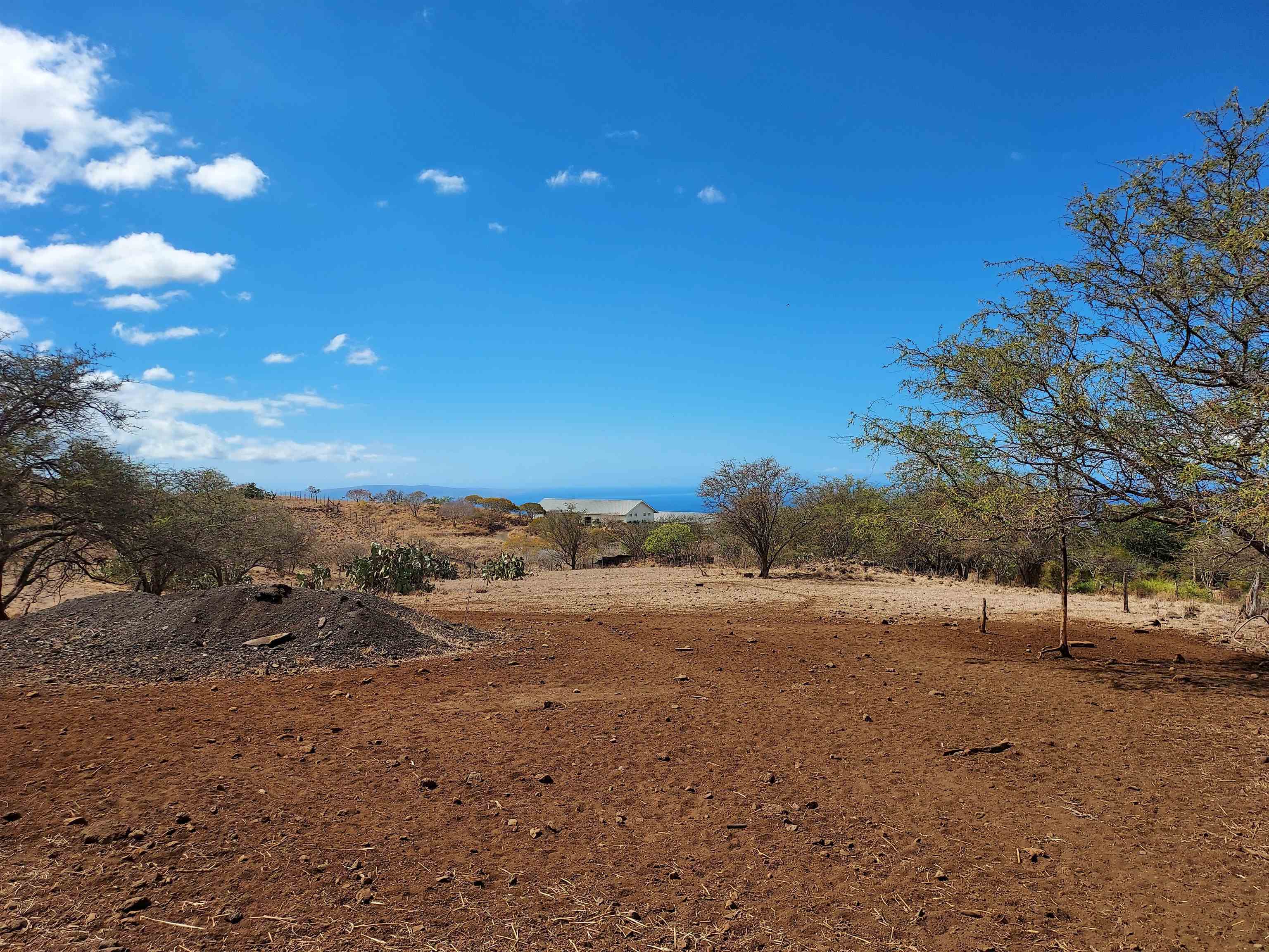 1584 Naalae Road Kula, HI 96790 - Photo 11 of 13 a view of dirt field with trees in background