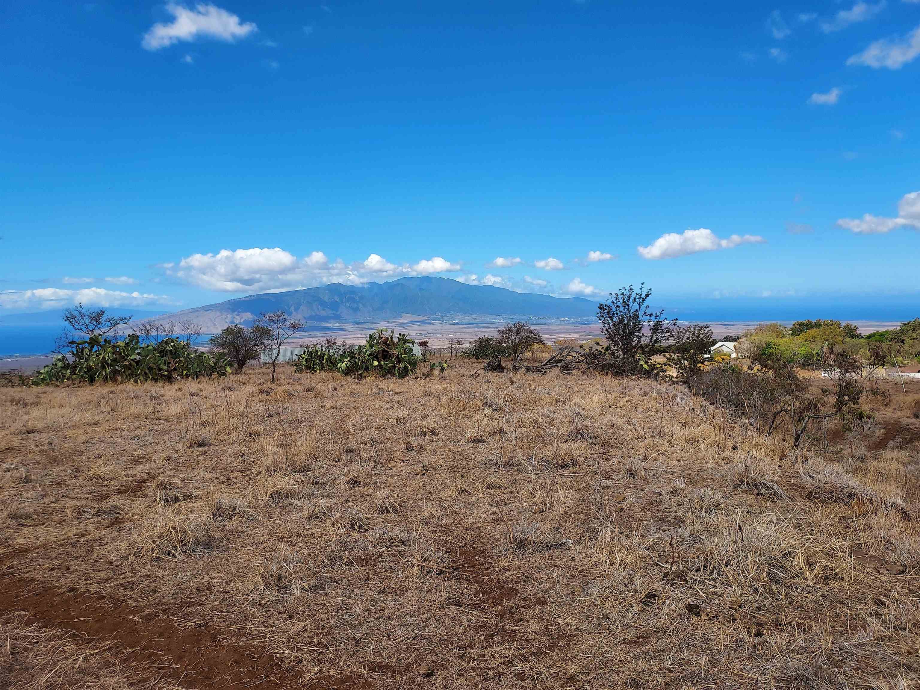 1584 Naalae Road Kula, HI 96790 - Photo 5 of 13 a view of a yard with mountain view