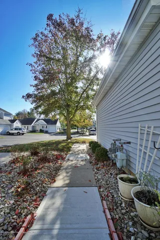 a view of a backyard with plants and lake view