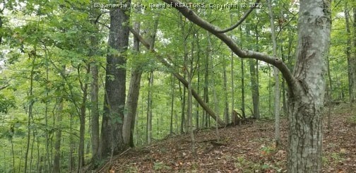 0 Route 34/1 Road Hurricane, WV 25526 - Photo 1 of 3 Gallery Image 1