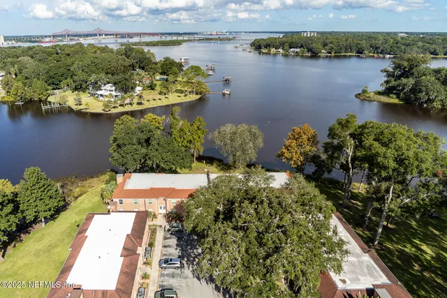 a view of a garden with lawn chairs