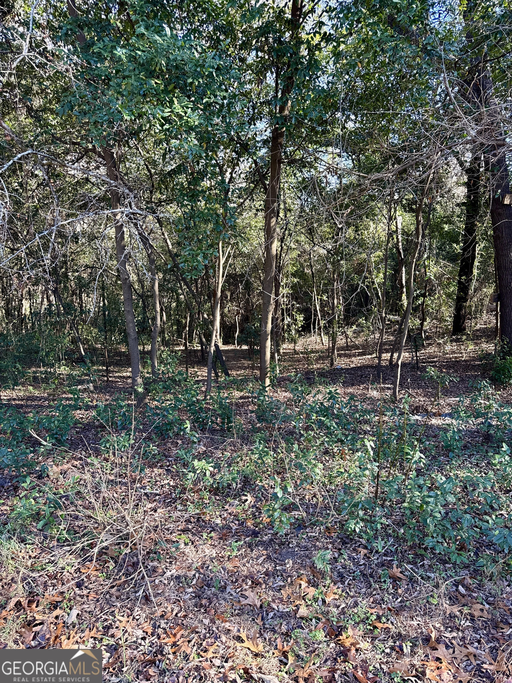 104 Sandy Run Drive Warner Robins, GA 31088 - Photo 26 of 26