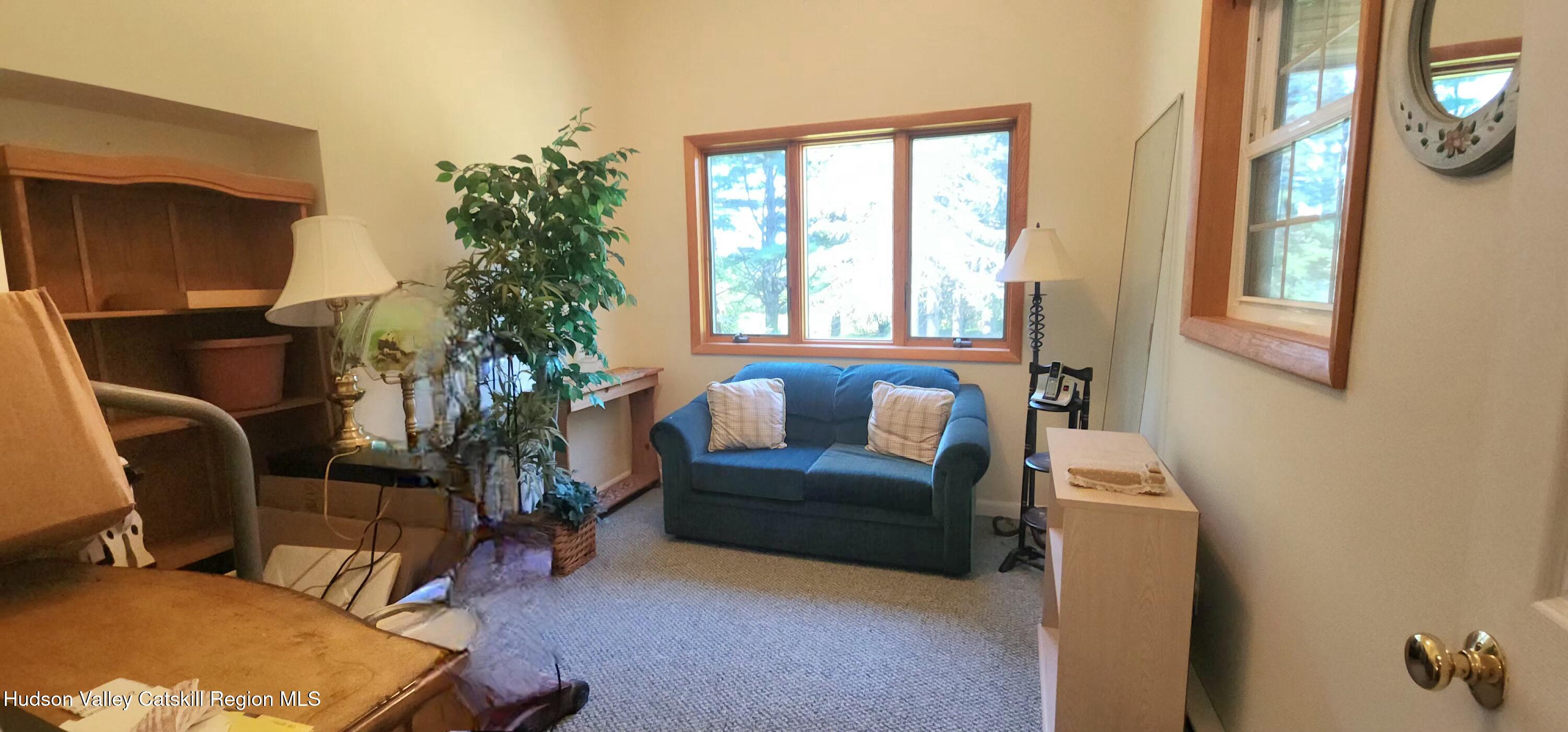 436 Big Hollow Road Maplecrest, NY 12454 - Photo 13 of 31 a living room with furniture and a potted plant