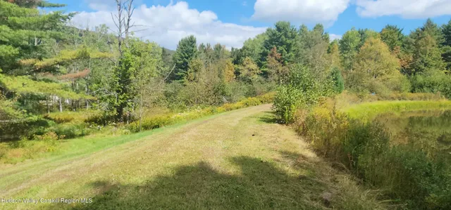 a view of yard with green space