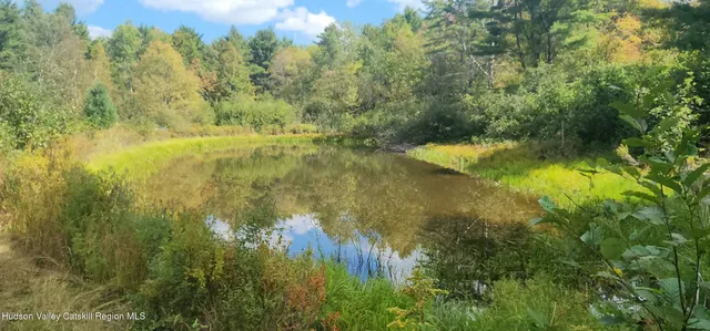 a view of a forest with a tree