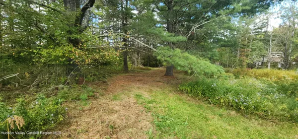 a view of yard with trees