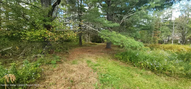 a view of yard with trees