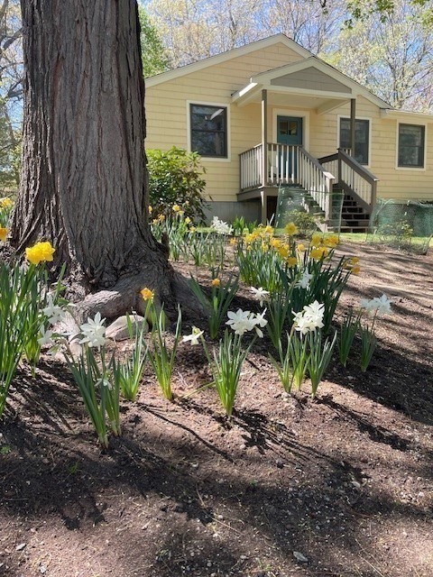 2 Darby Court Natick, MA 01760 - Photo 26 of 39