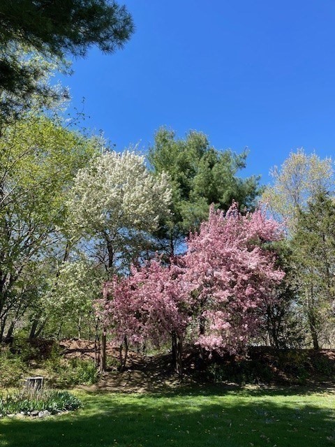 2 Darby Court Natick, MA 01760 - Photo 30 of 39