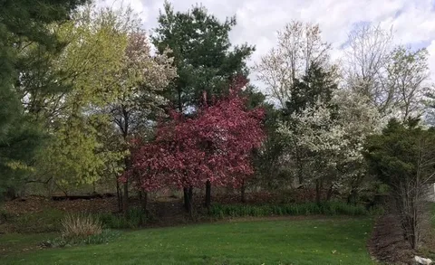 $779,000 | 2 Darby Court, Natick, MA 01760