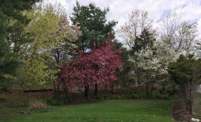 2 Darby Court Natick, MA 01760 - Photo 31 of 39