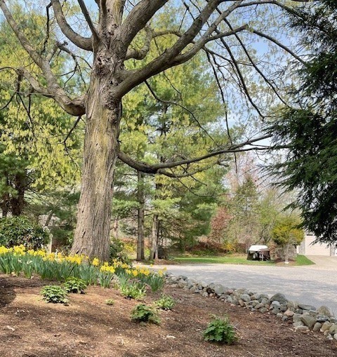 2 Darby Court Natick, MA 01760 - Photo 36 of 39