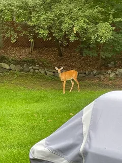 $779,000 | 2 Darby Court, Natick, MA 01760