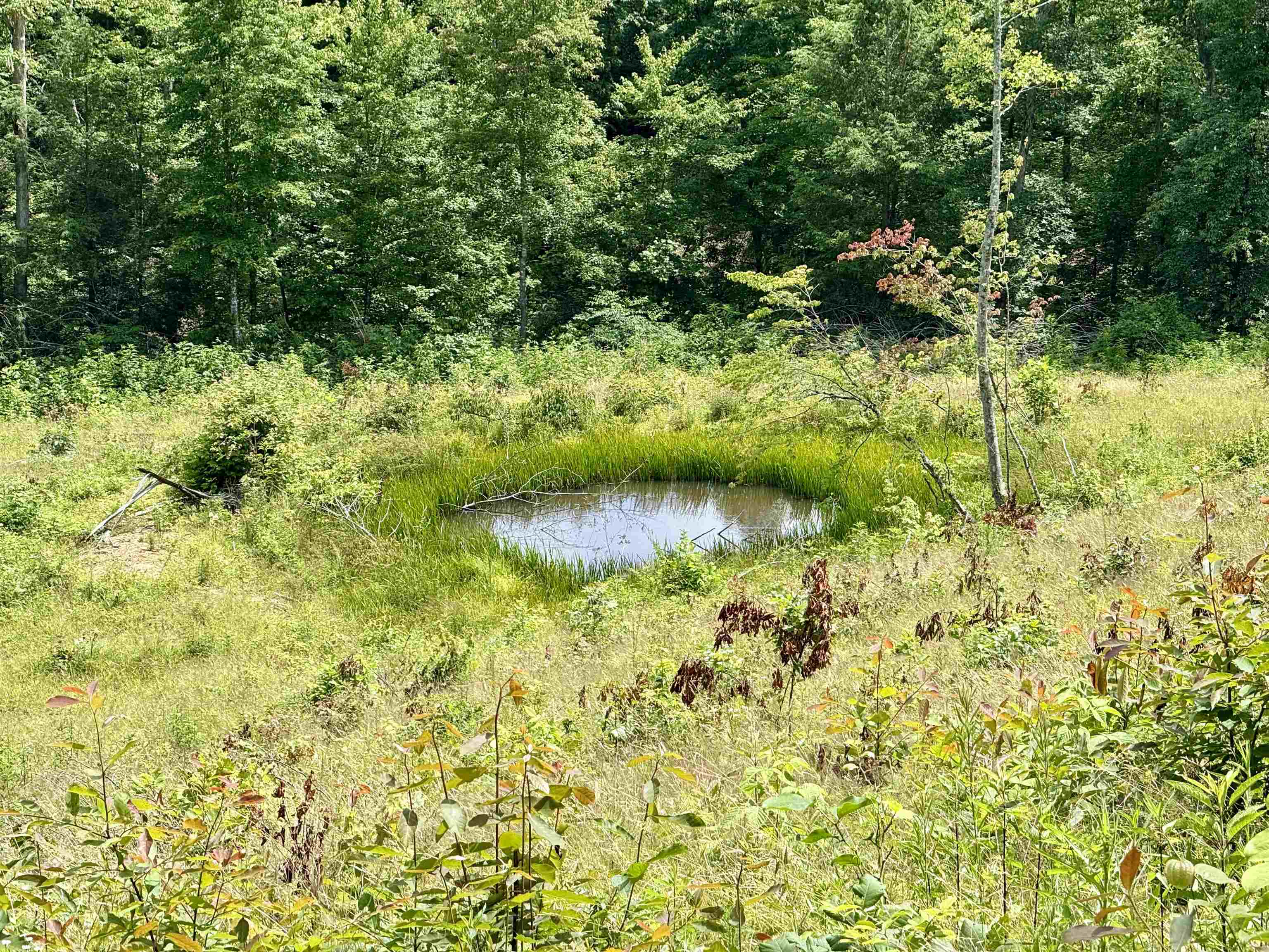 1481 Kellacey Road West Liberty, KY 41472 - Photo 11 of 23