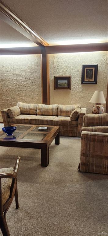 500 Wichita Avenue, Unit 75 McAllen, TX 78503 - Photo 25 of 45 a living room with furniture and a air conditioner vent