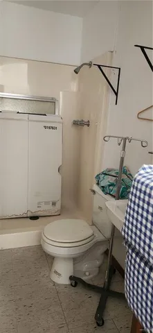 a white toilet sitting next to a shower curtain