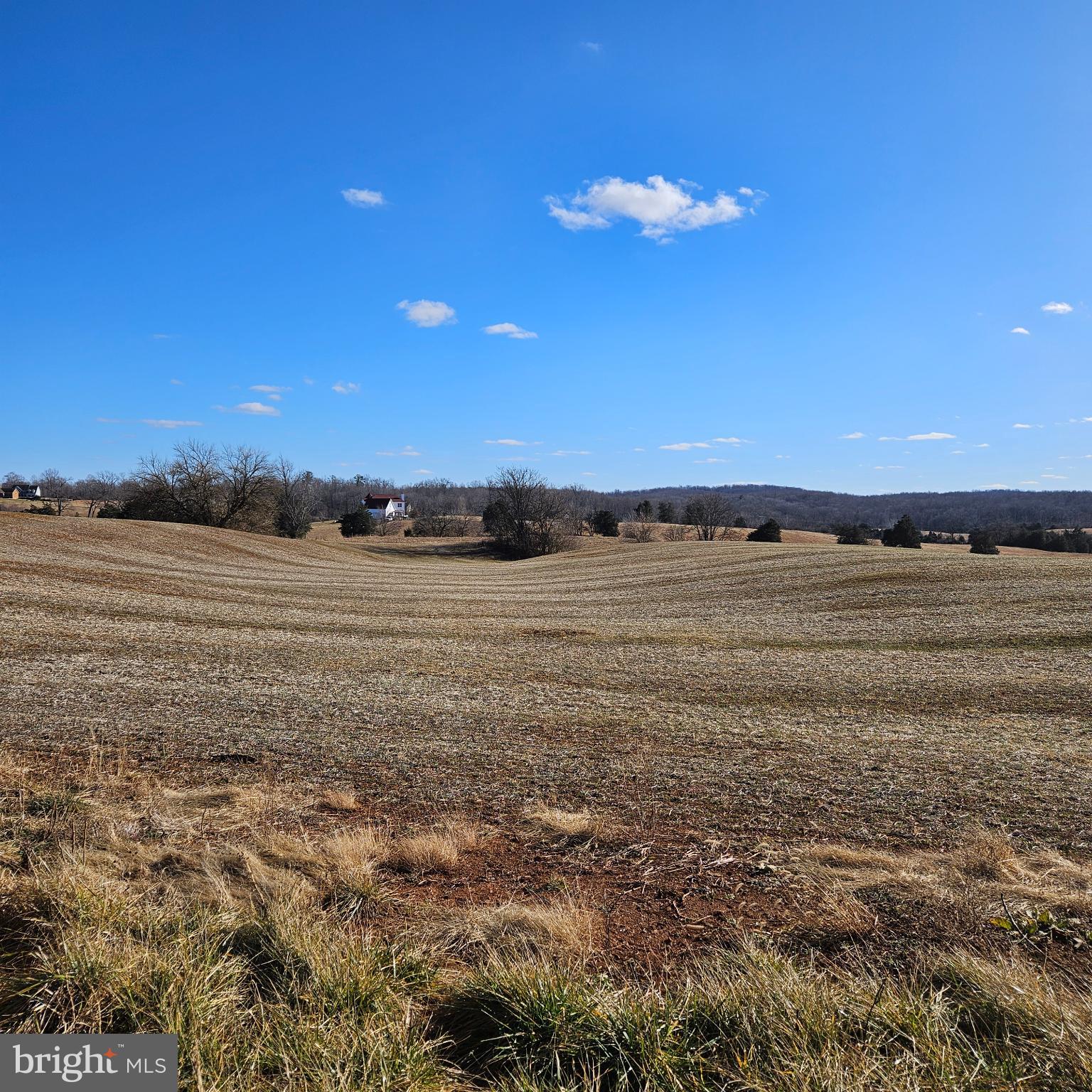 0 Ryland Chapel Road Rixeyville, VA 22737 - Photo 2 of 7 a view of an ocean beach and mountain