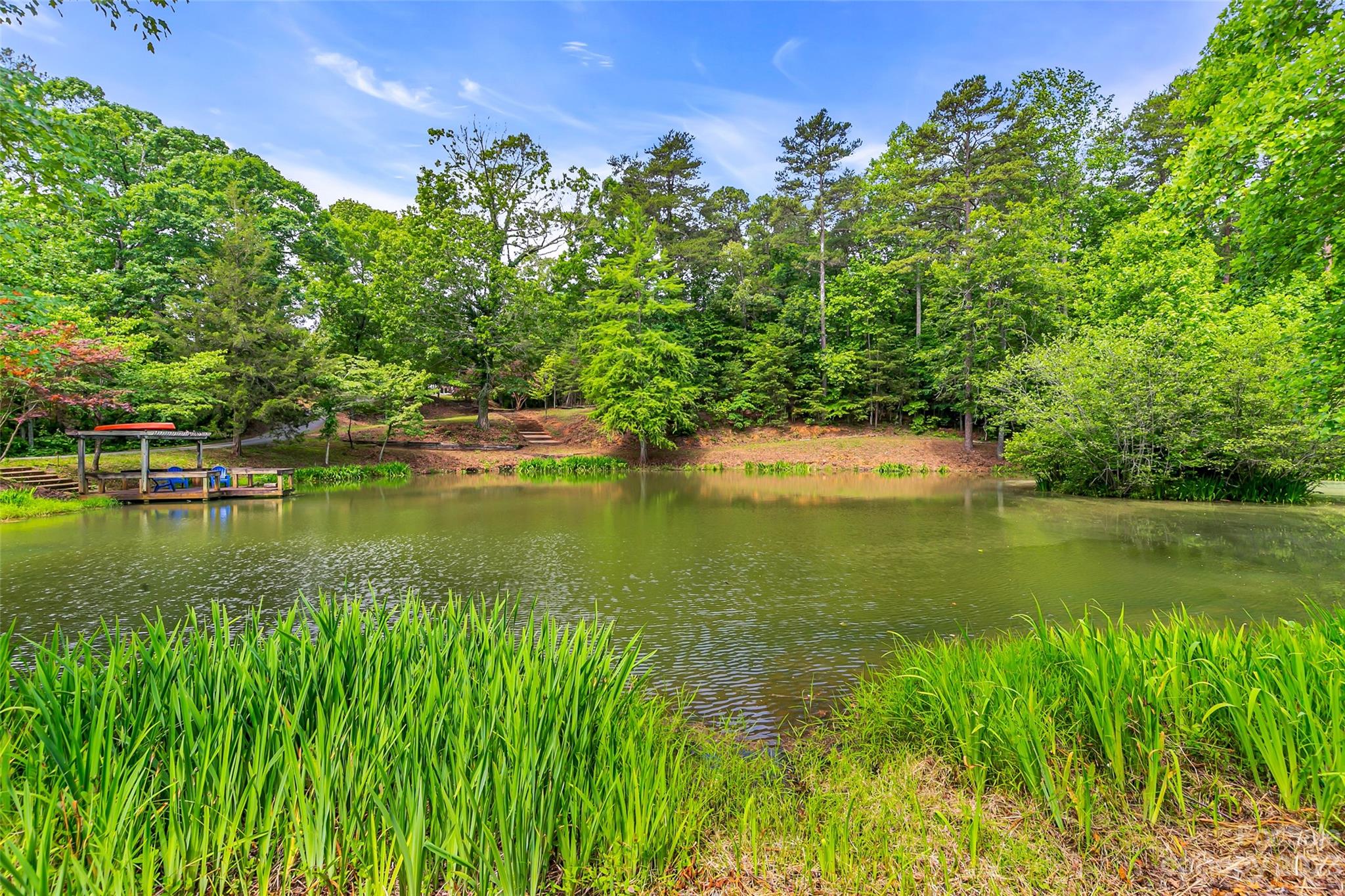 1034 Little Mountain Road Columbus, NC 28722 - Photo 1 of 42 Gallery Image 1