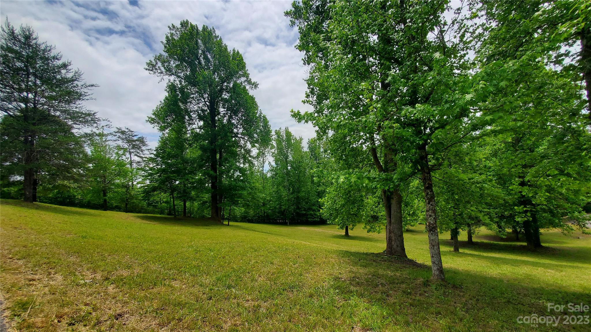 1034 Little Mountain Road Columbus, NC 28722 - Photo 6 of 42 Gallery Image 6