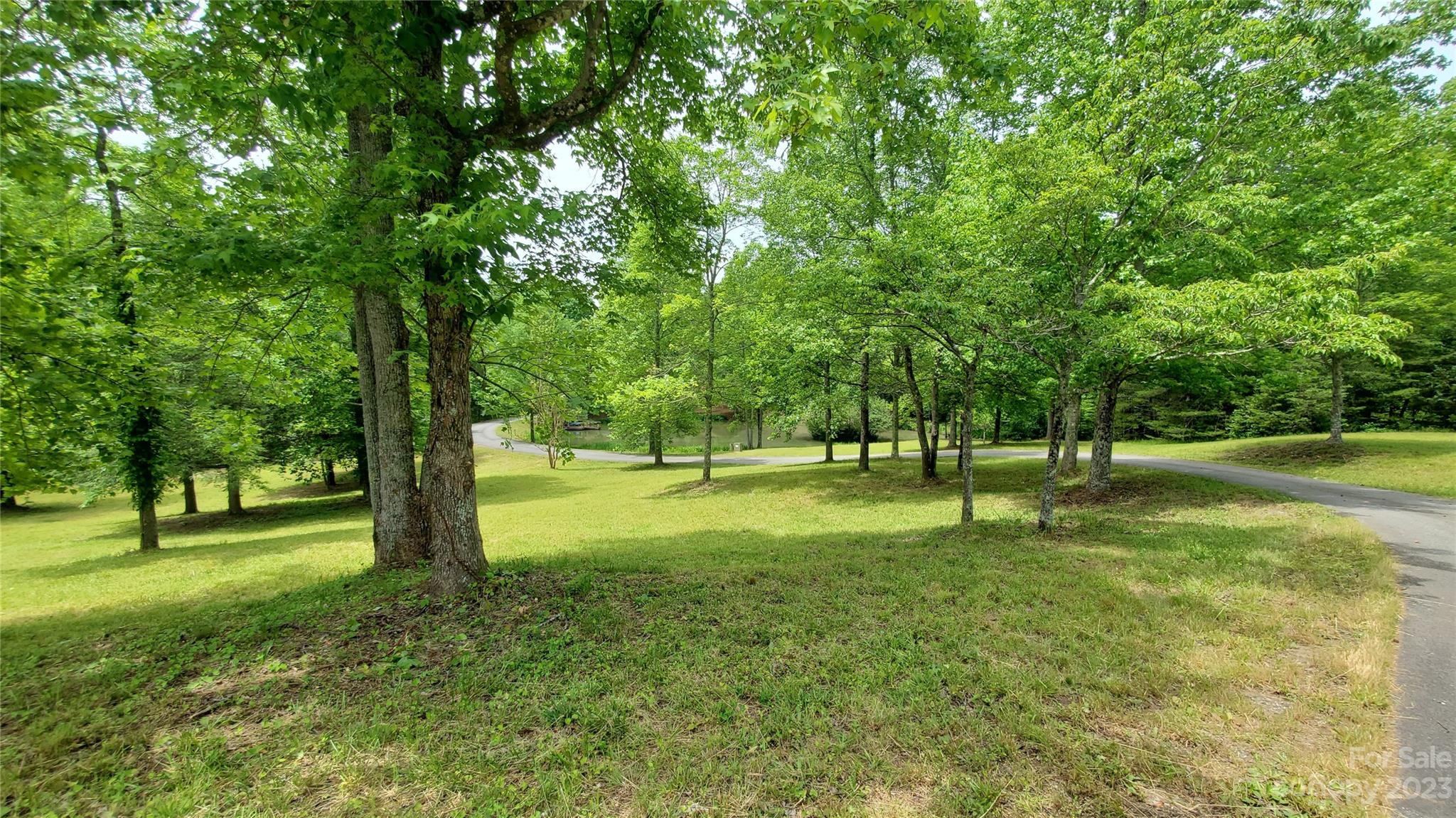 1034 Little Mountain Road Columbus, NC 28722 - Photo 7 of 42 Gallery Image 7