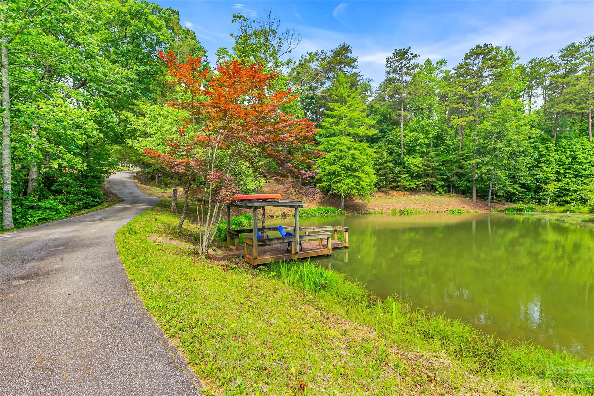 1034 Little Mountain Road Columbus, NC 28722 - Photo 9 of 42 Gallery Image 9