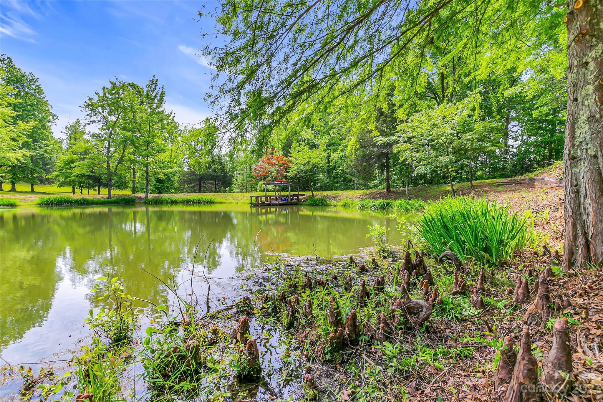 1034 Little Mountain Road Columbus, NC 28722 - Photo 10 of 42 Gallery Image 10