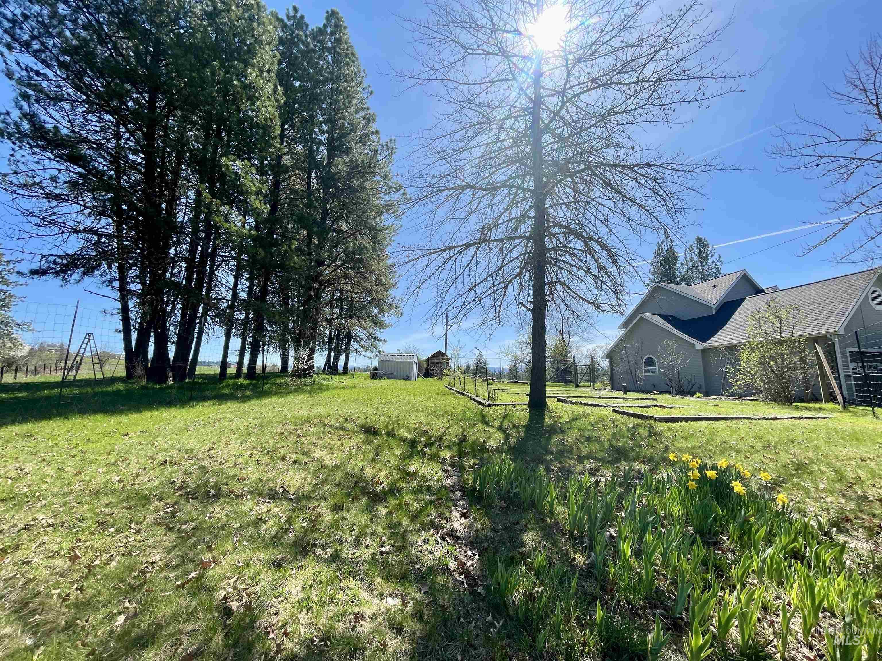 637 Leitch Creek Road Kooskia, ID 83539 - Photo 30 of 38 View of grassy yard with an outdoor structure