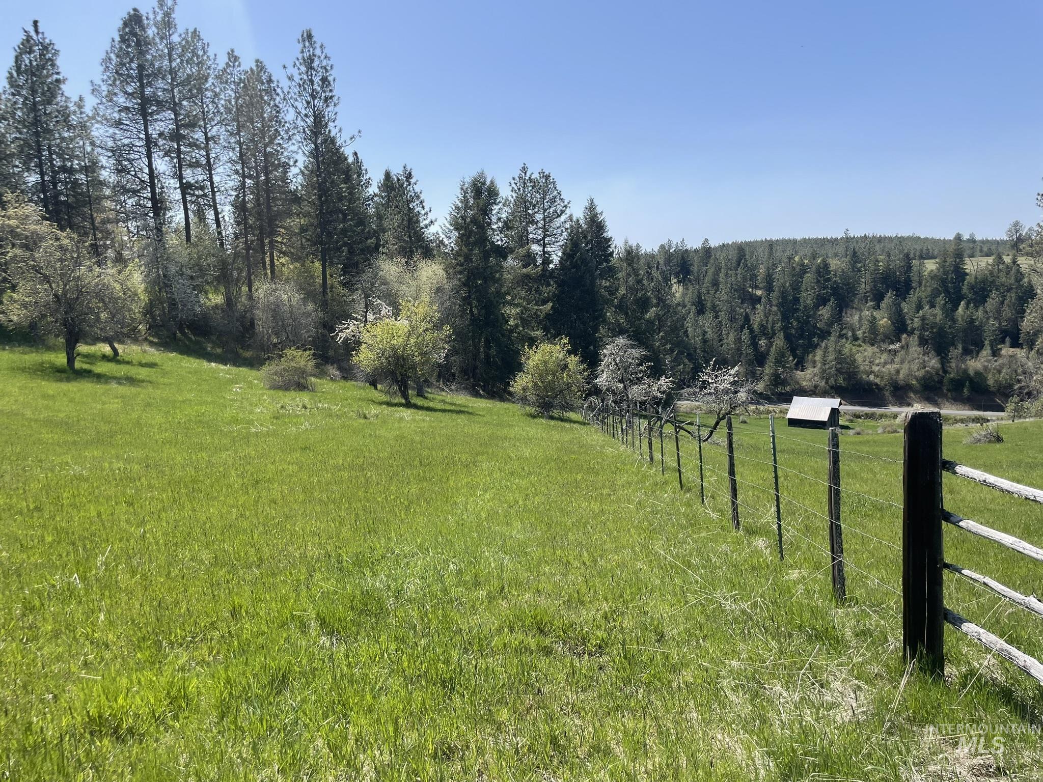 637 Leitch Creek Road Kooskia, ID 83539 - Photo 33 of 38 View of yard featuring a rural view