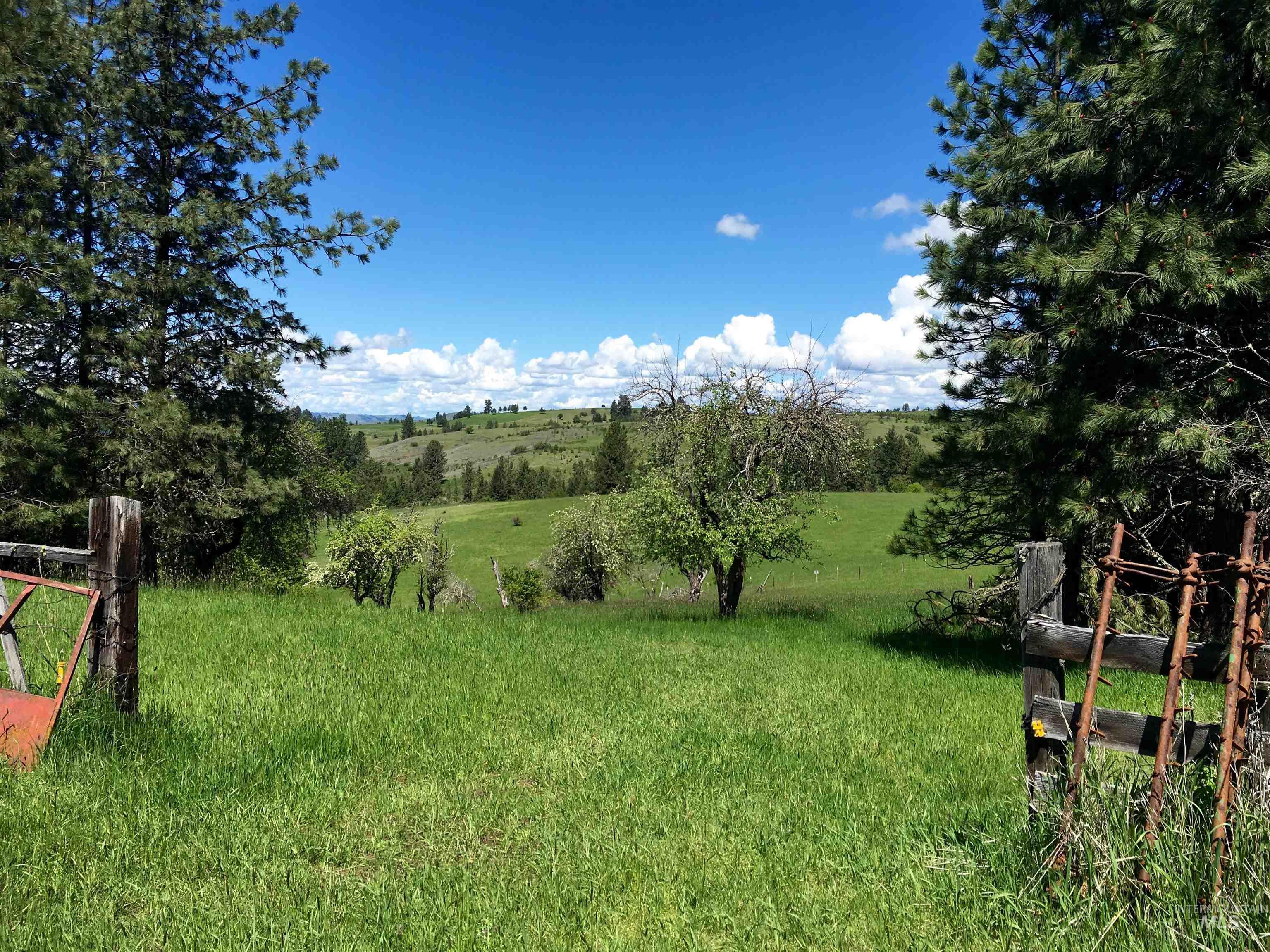 637 Leitch Creek Road Kooskia, ID 83539 - Photo 38 of 38 View of green lawn with a rural view
