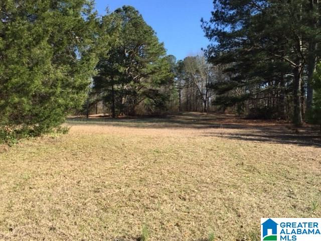 4904 Jim Goggans Road Dora, AL 35062 - Photo 19 of 21