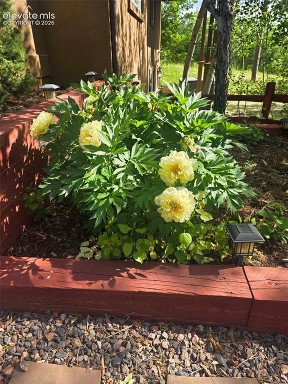 1375 Blueberry Hills Road Monument, CO 80132 - Photo 49 of 49