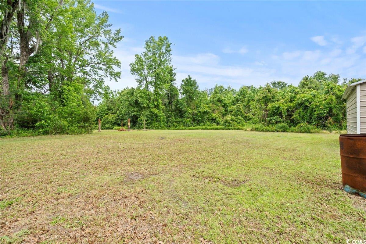 2776 Holly Road Marion, SC 29571 - Photo 20 of 29 View of grassy yard