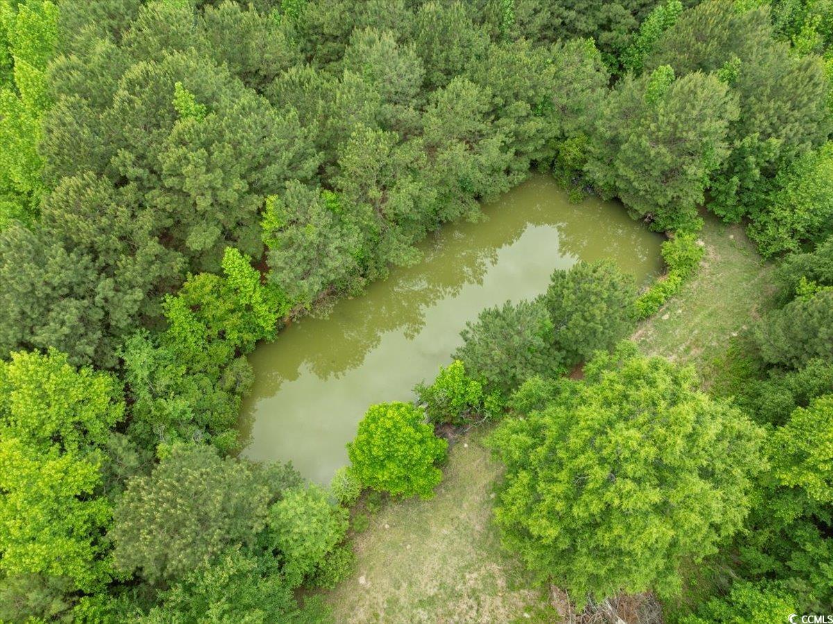 2776 Holly Road Marion, SC 29571 - Photo 23 of 29 Aerial view
