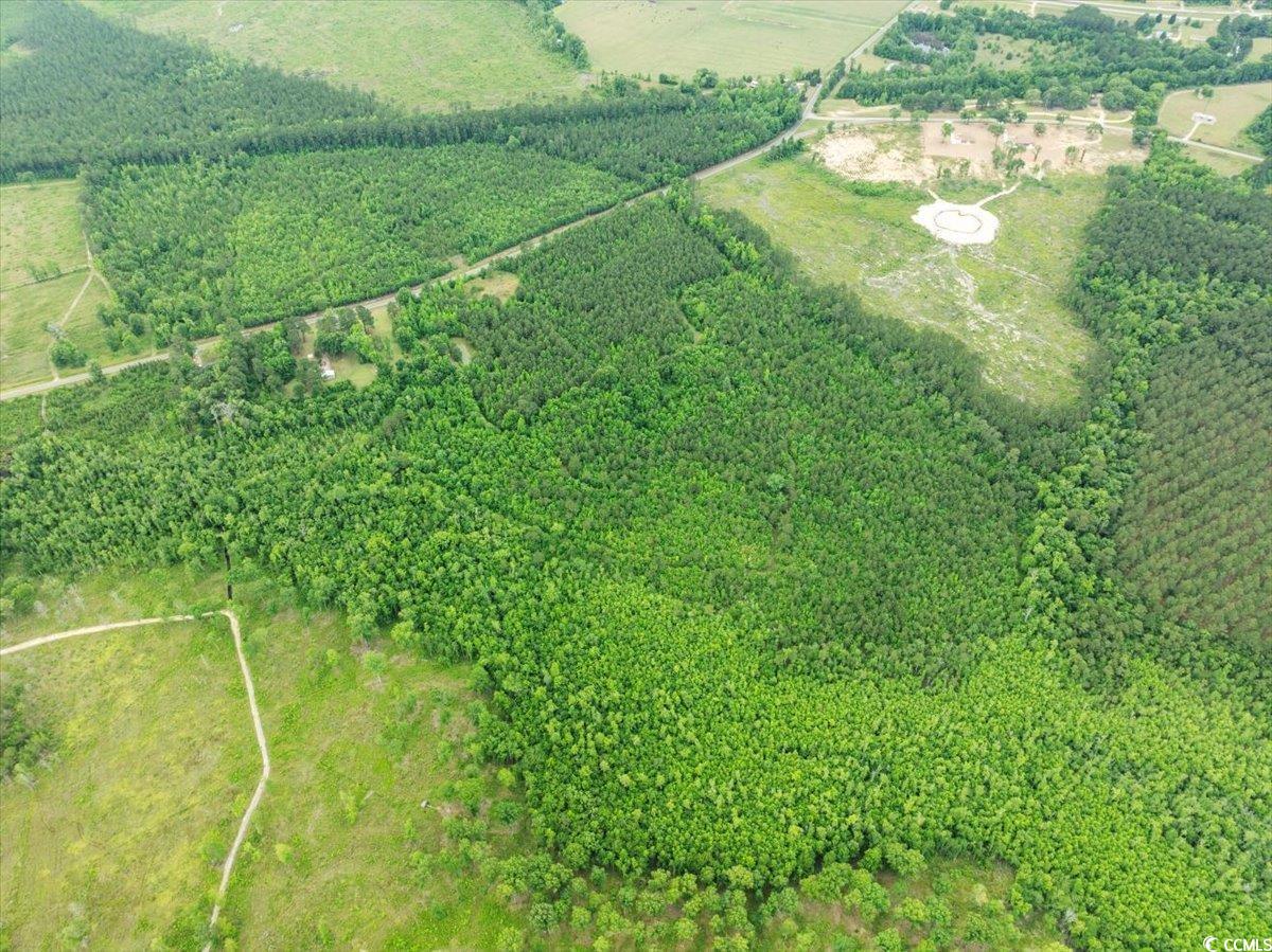 2776 Holly Road Marion, SC 29571 - Photo 26 of 29 View of rural area featuring a heavily wooded area