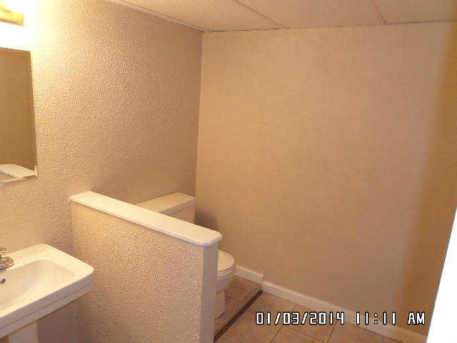 107 Queen Regent Court Blue Ridge, VA 24064 - Photo 10 of 46 107UdnbathU